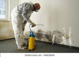 Best Mold Odor Removal Services  in New Brighton, MN